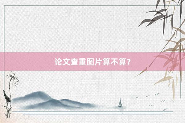 论文查重图片算不算?