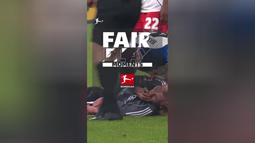 赛场急救法鹰球员，汉堡中卫武什科维奇获德甲12月公平竞赛奖